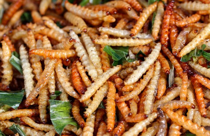 mealworms