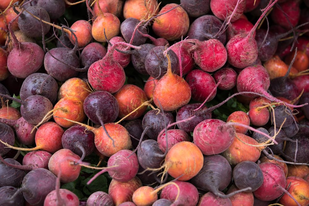 Macro close up on a pile of freshly harvested beet roots, in shades of orange and purple, making a background