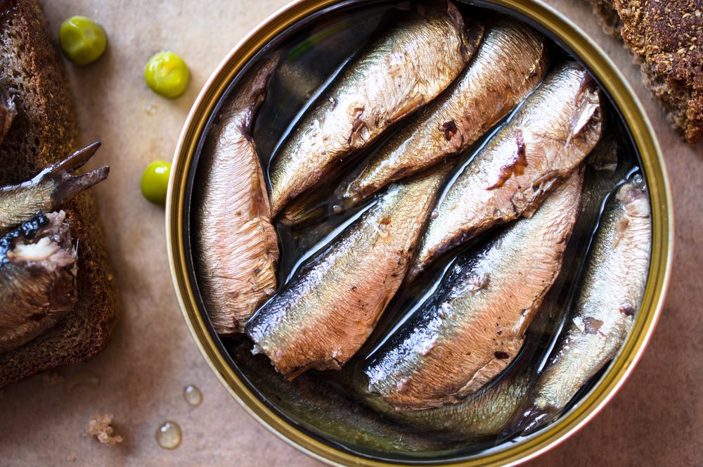 Tin can of sprats, sardines. Top view