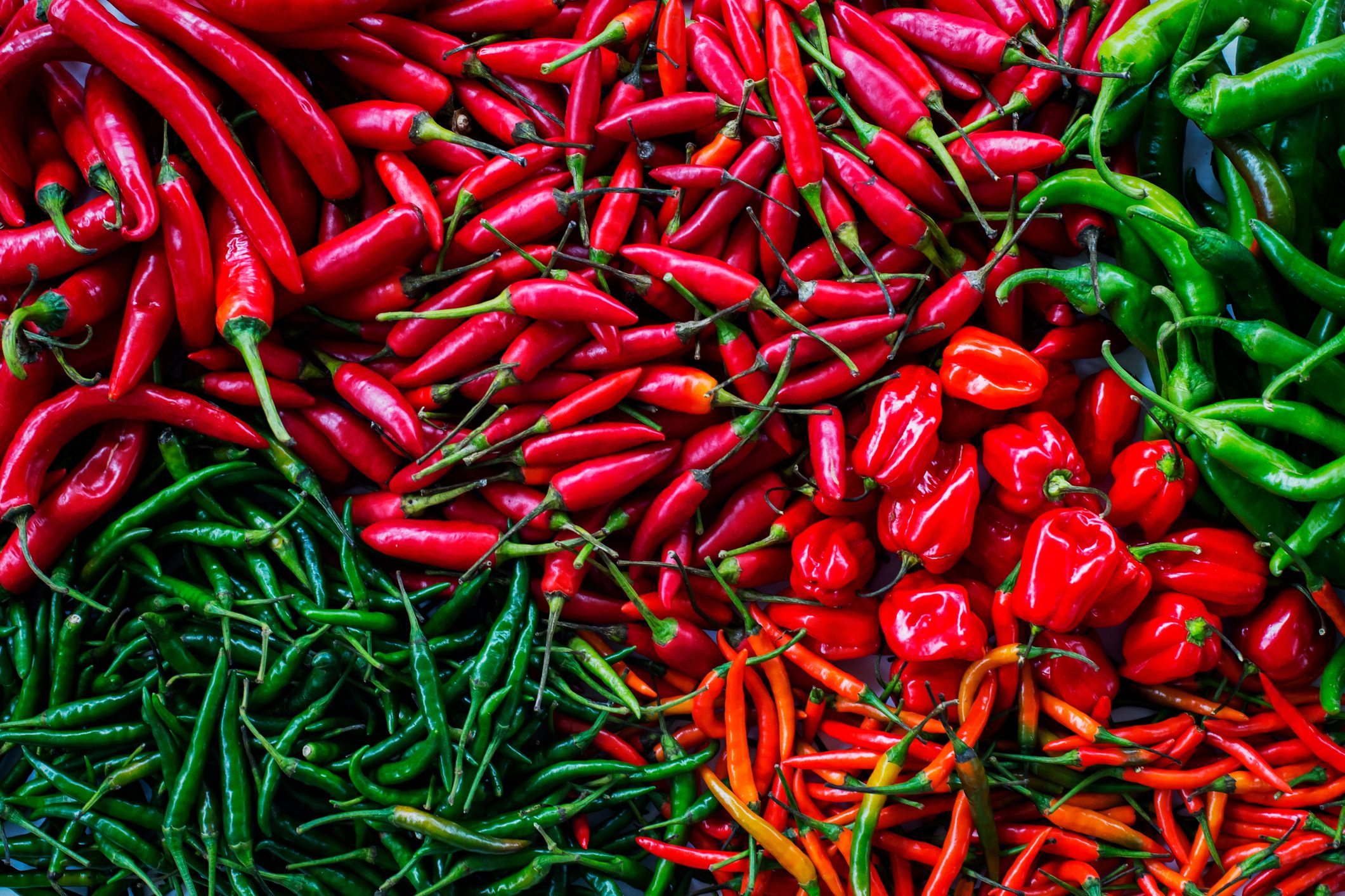 assorted chili peppers from above