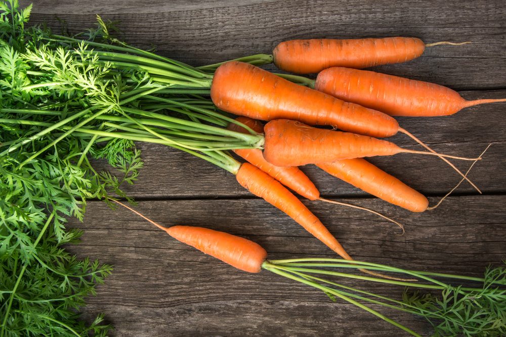 Fresh organic carrots with green tops on wooden table. Copy space. Top view.