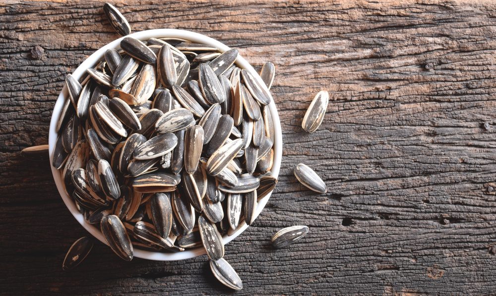 Top view of roasted sunflower seeds in white ceramic bowl on rough old wood