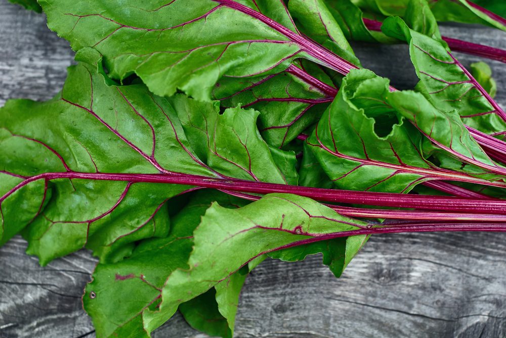 Wooden vintage background for design with fragment bright green, beautiful beet haulm. Top view