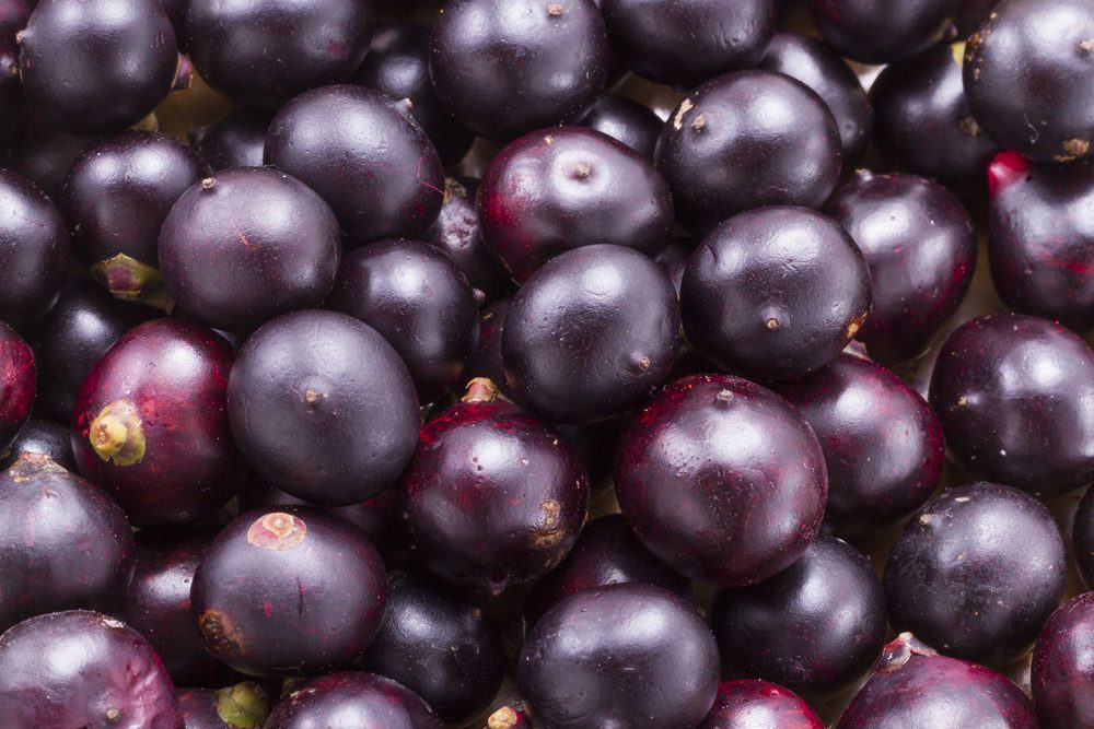Fruits and acai powder originating from the Amazon (Euterpe oleracea)
