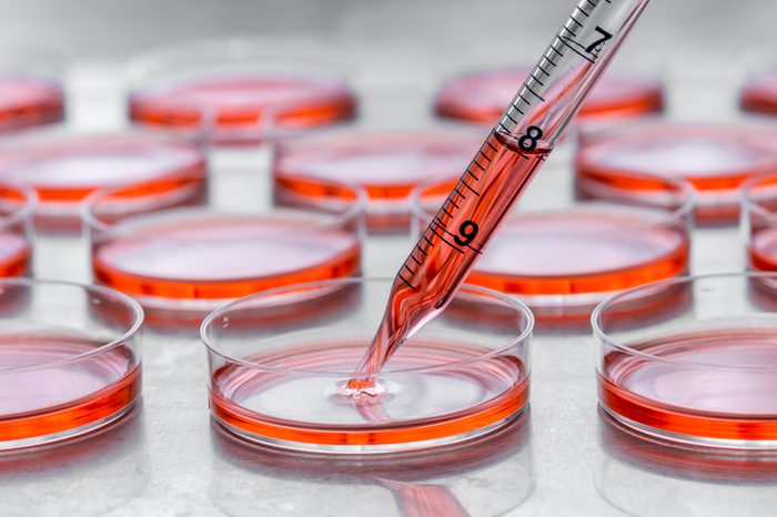 Culturing cells in tissue culture plates.