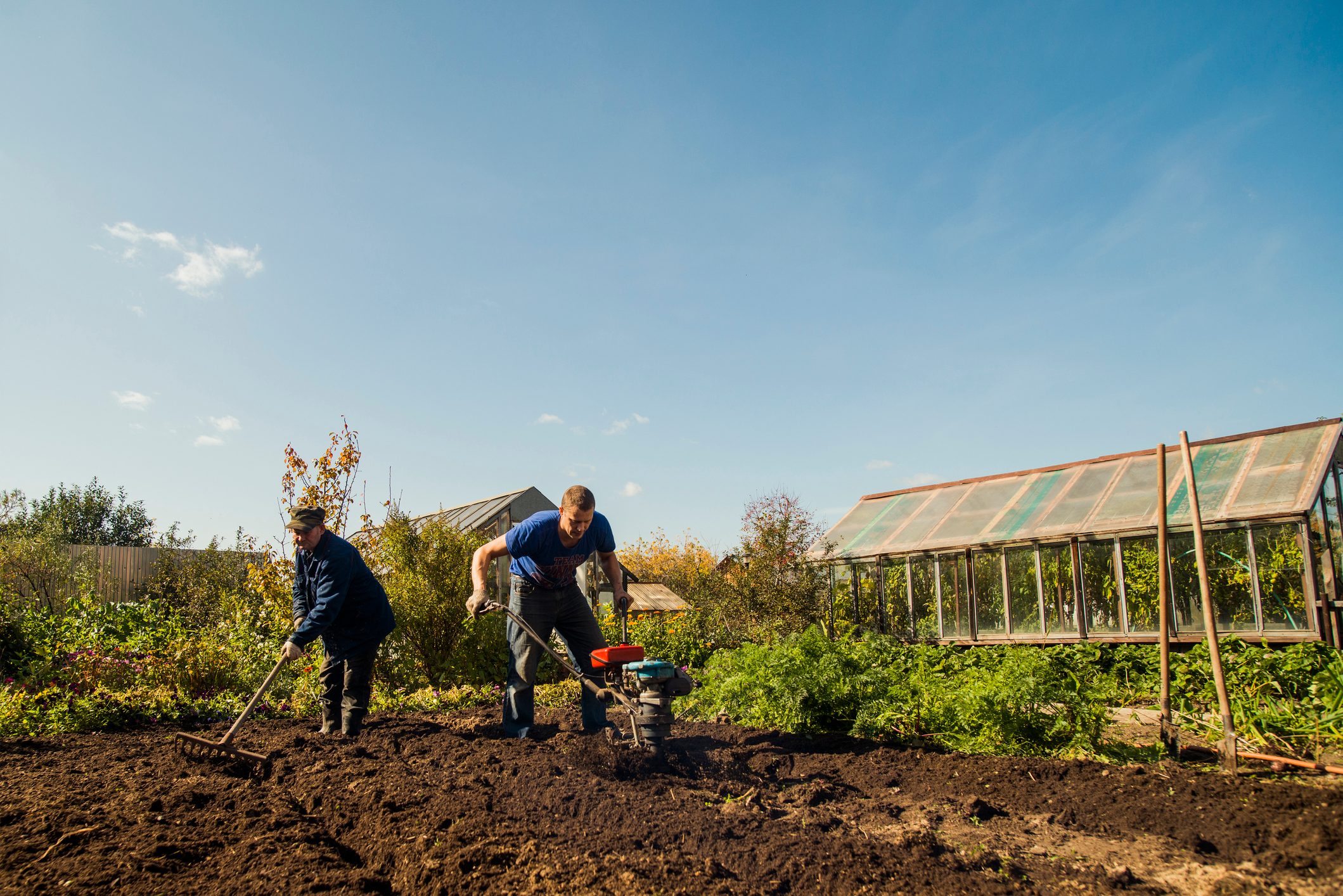 two men working in garden