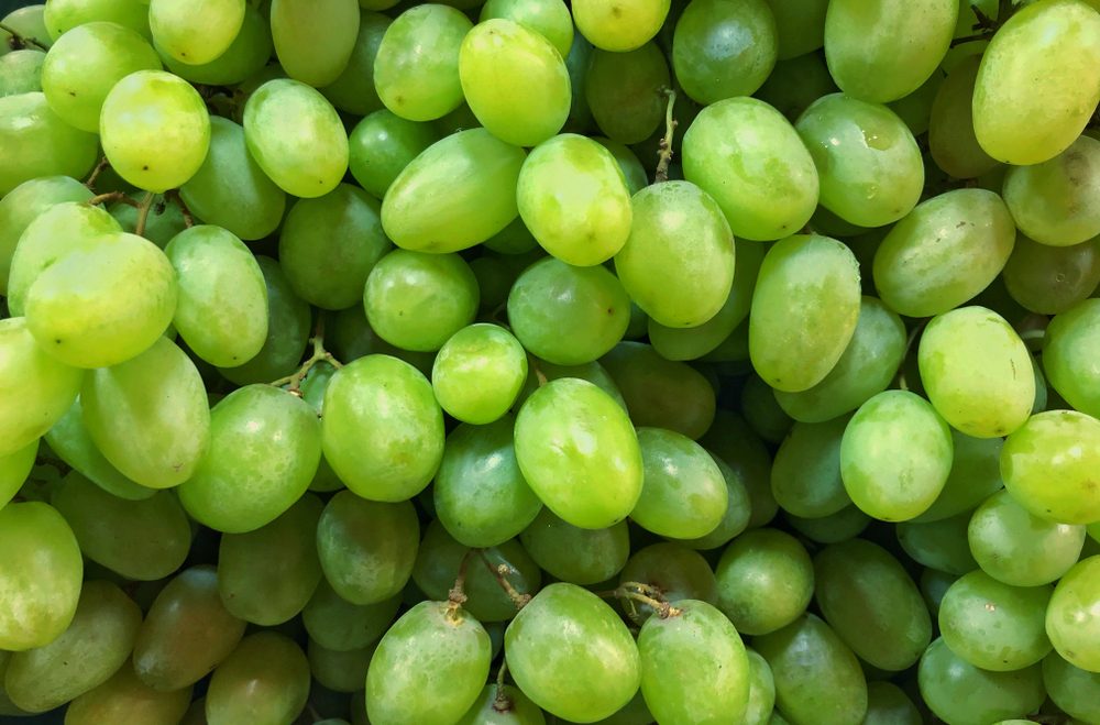 Close up of the fresh green grapes.