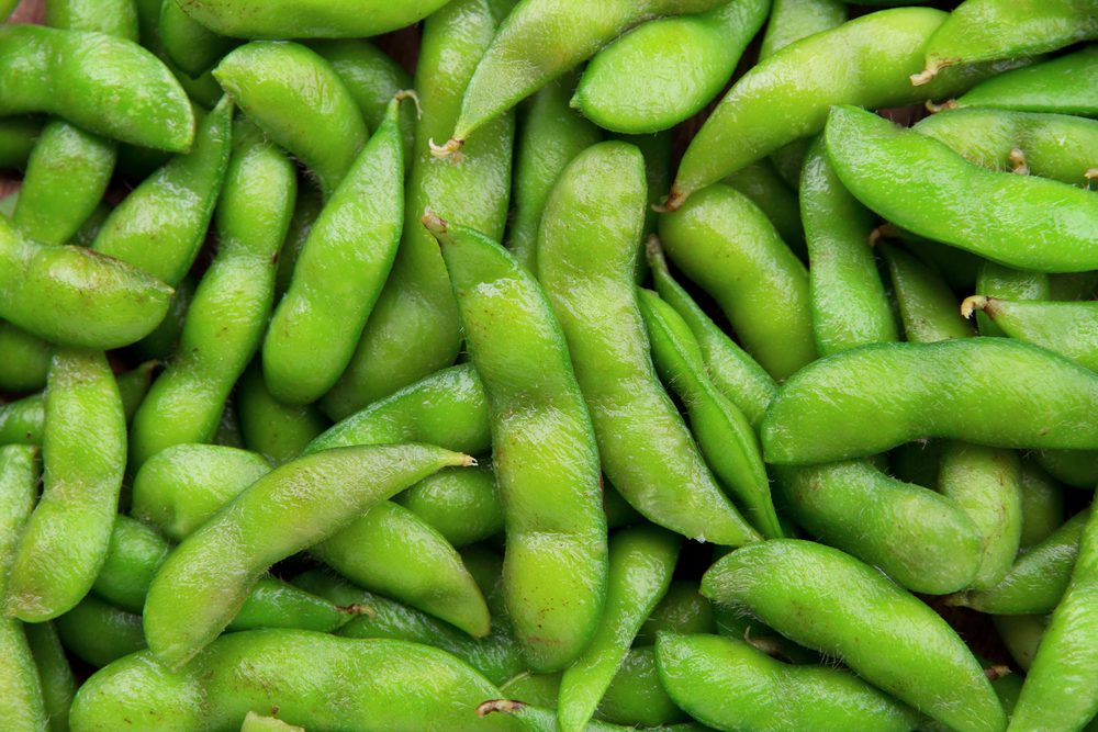 Edamame soy beans background