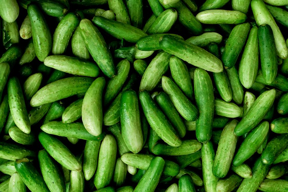 Cucumber background