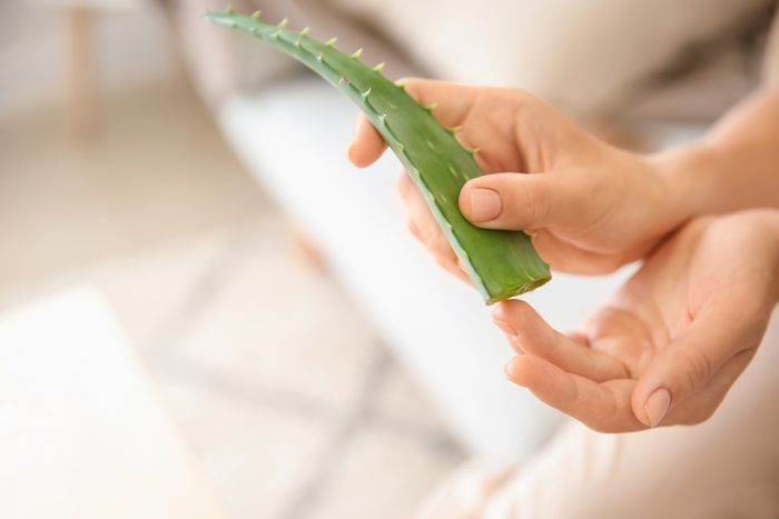 woman holding aloe vera plant