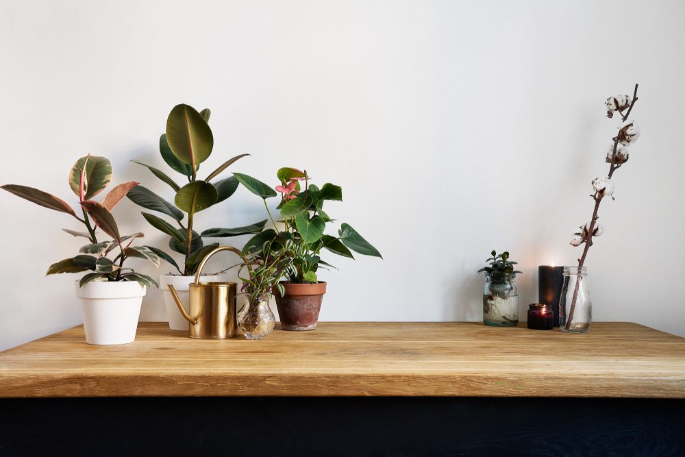 White kitchen interior with green plants on rustic wooden table, modern workplace in nordic style