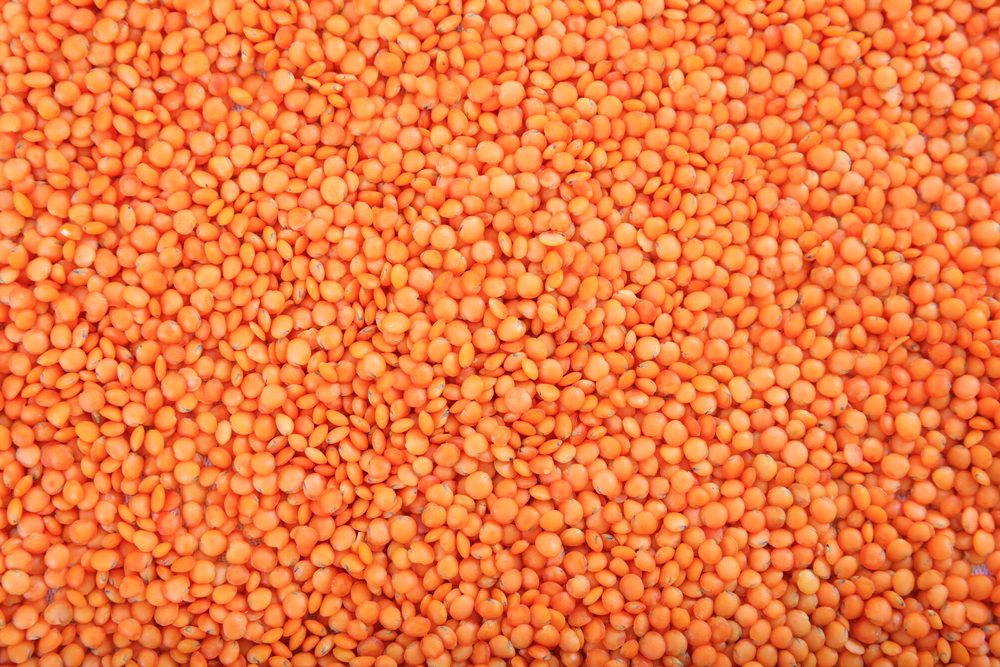 Legumes, pulses. Orange lentils full background, top view