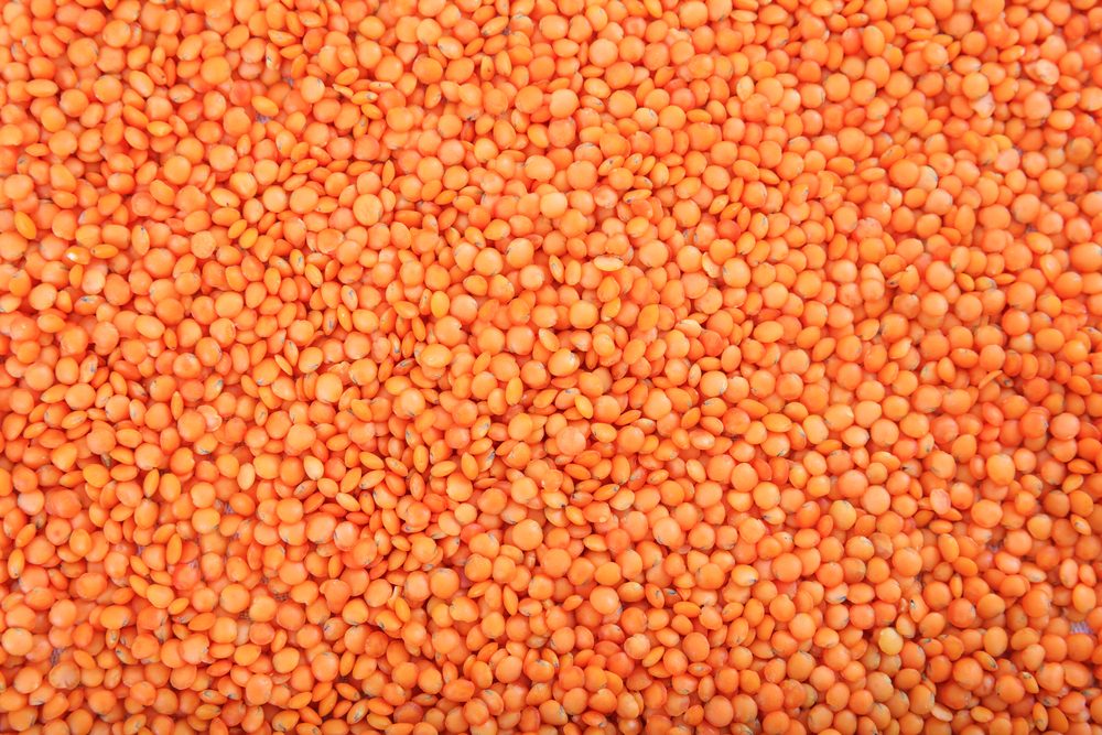 Legumes, pulses. Orange lentils full background, top view 