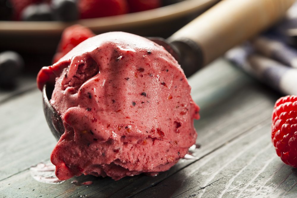 Homemade Organic Berry Sorbet Ice Cream Ready to Eat