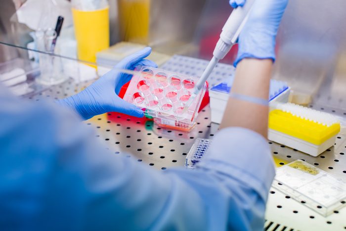 Scientist researching in laboratory, pipetting cell culture medium samples in laminar flow