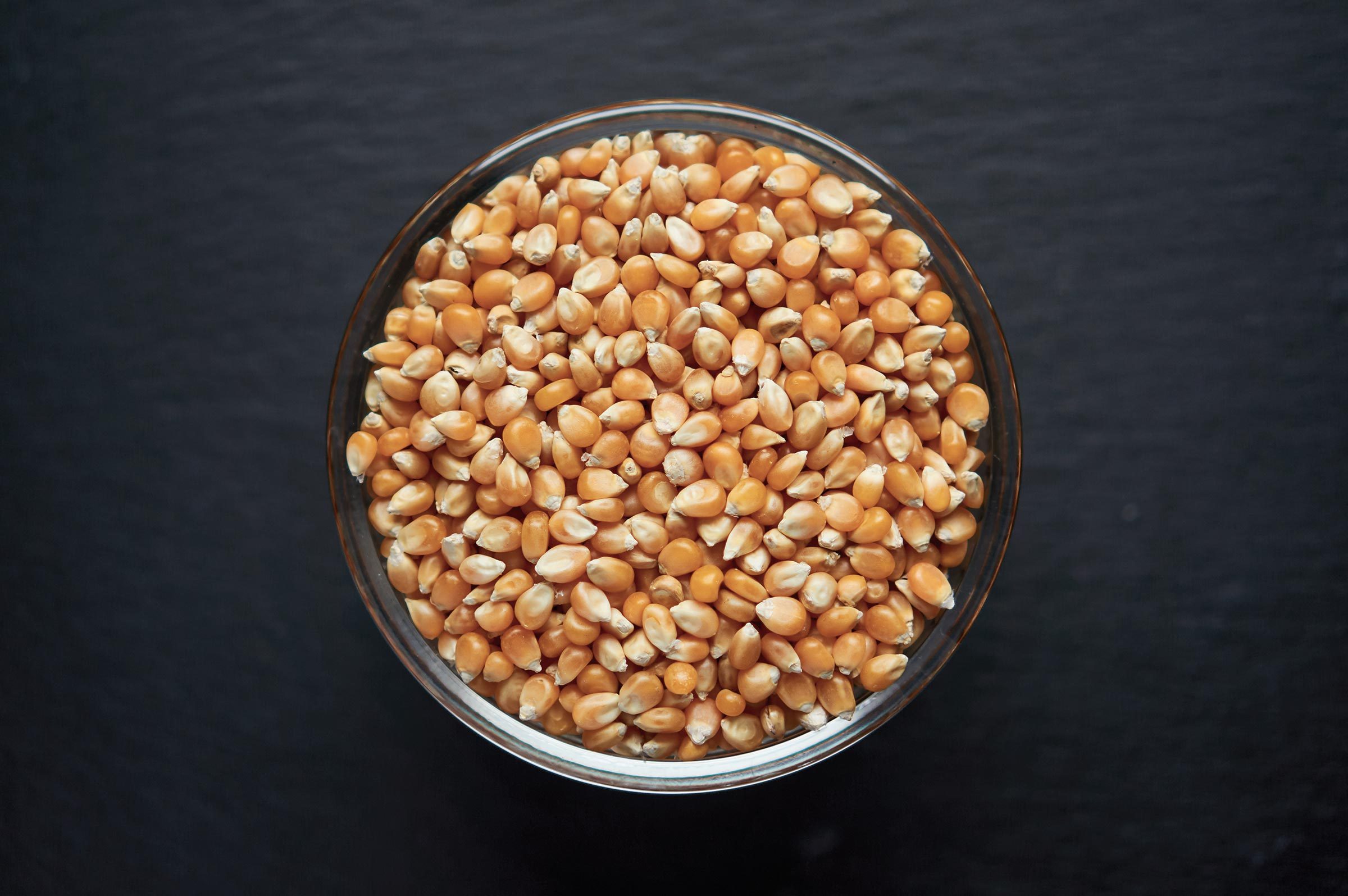 Corn kernels in a bowl on dark background