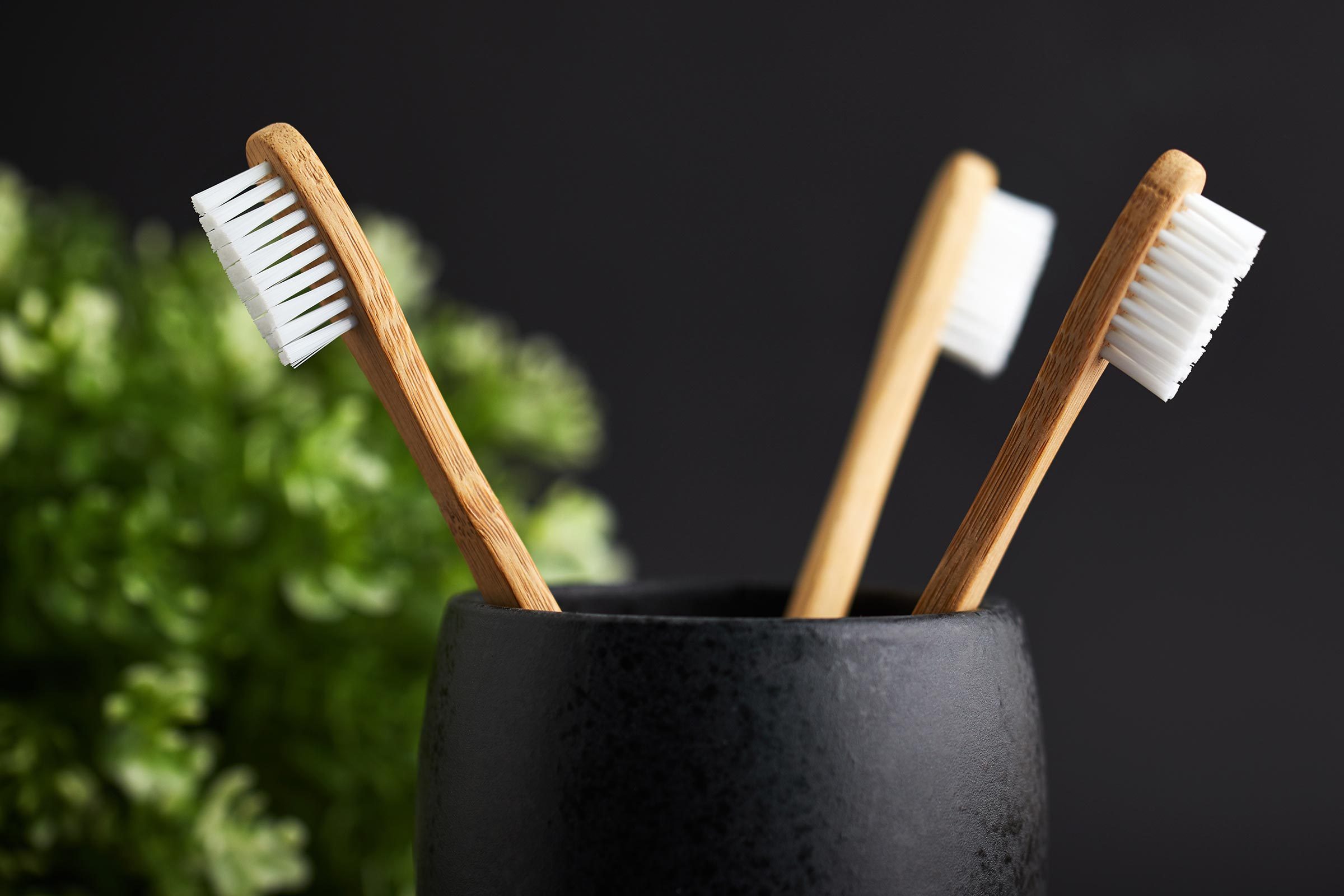 toothbrushes in cup