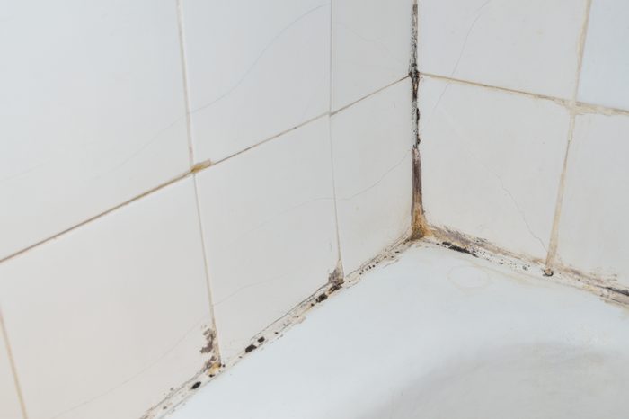 mold in bathroom