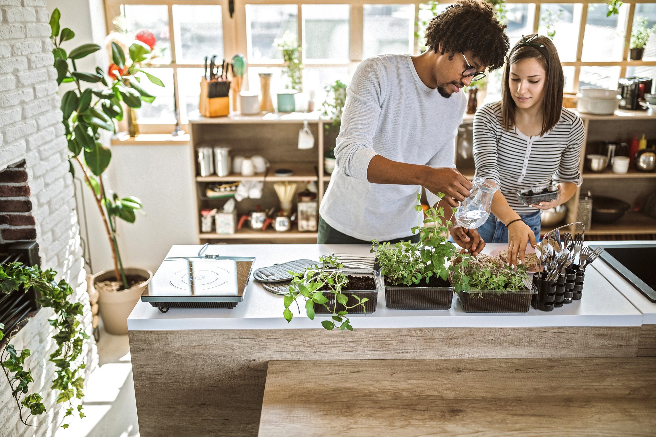 couple tending to their indoor plants and herbs