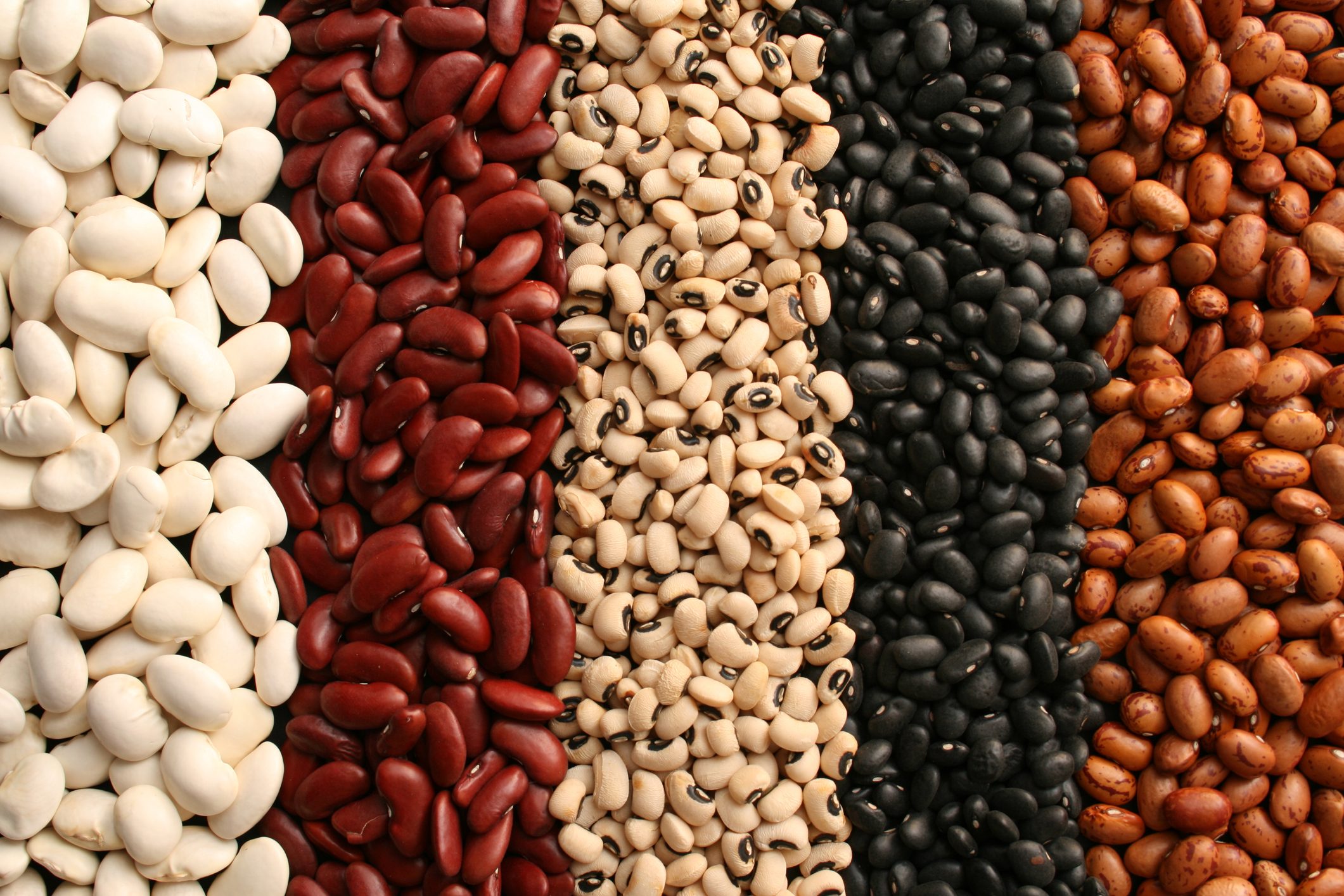 assortment of dried beans full frame