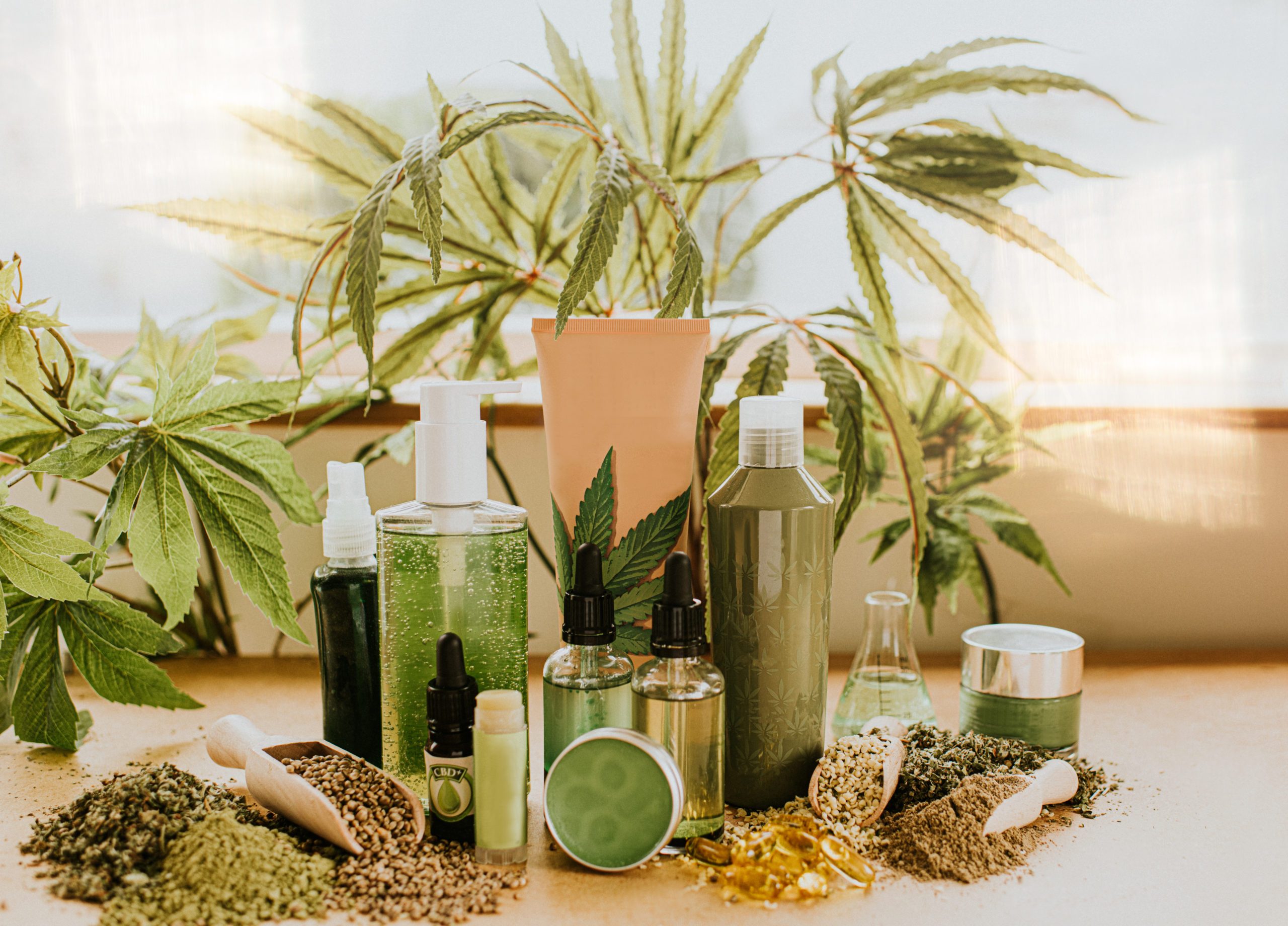 various CBD products