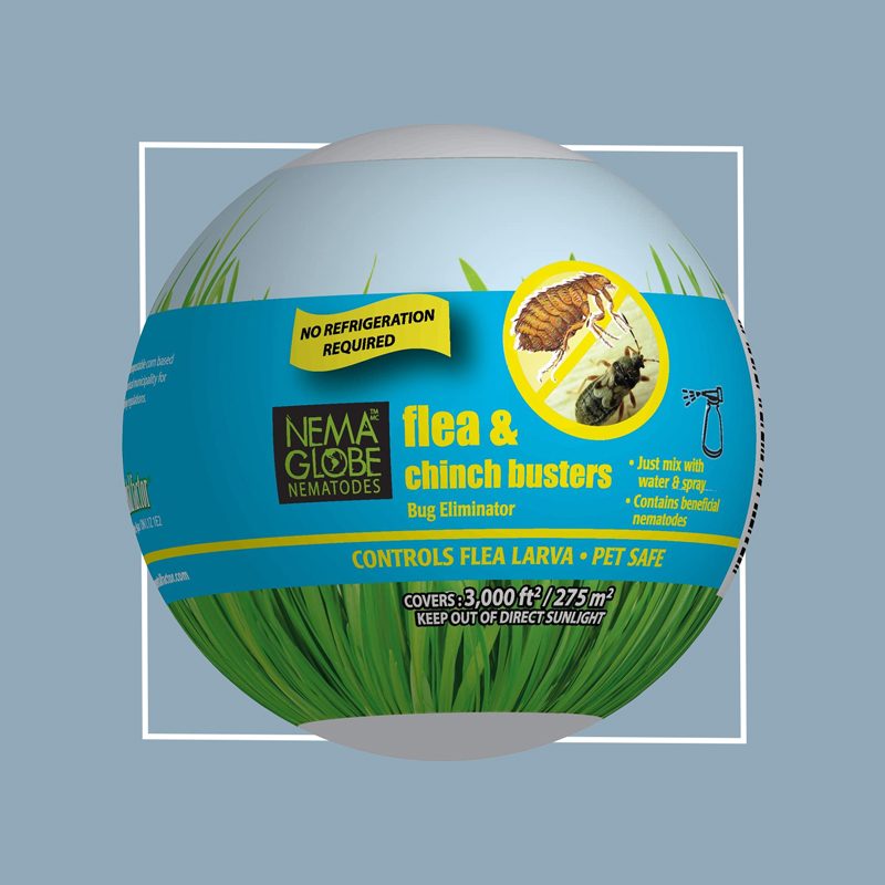 Nema Globe 25 Million Beneficial Nematodes for your garden