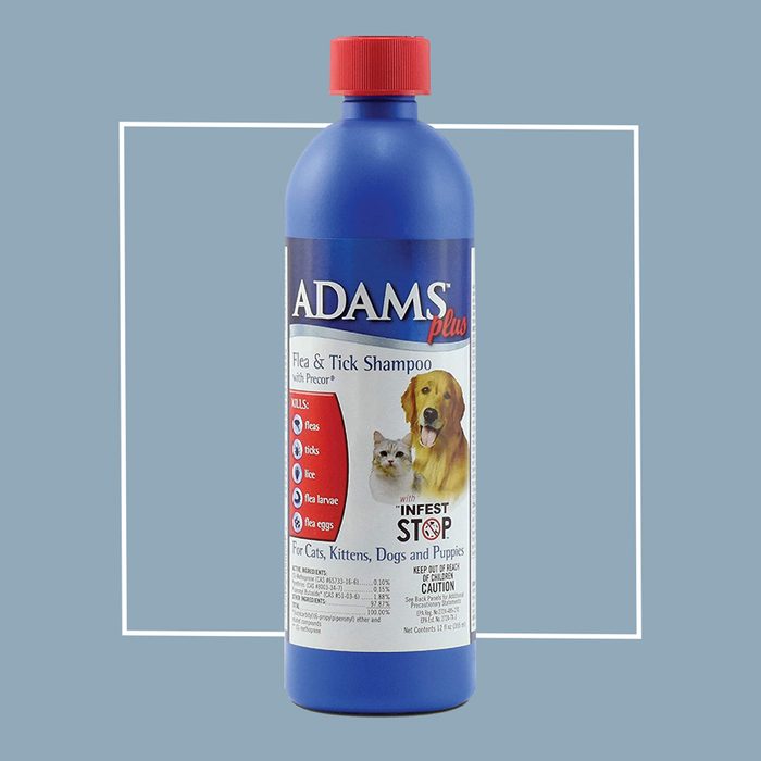 flea shampoo for dogs and cats