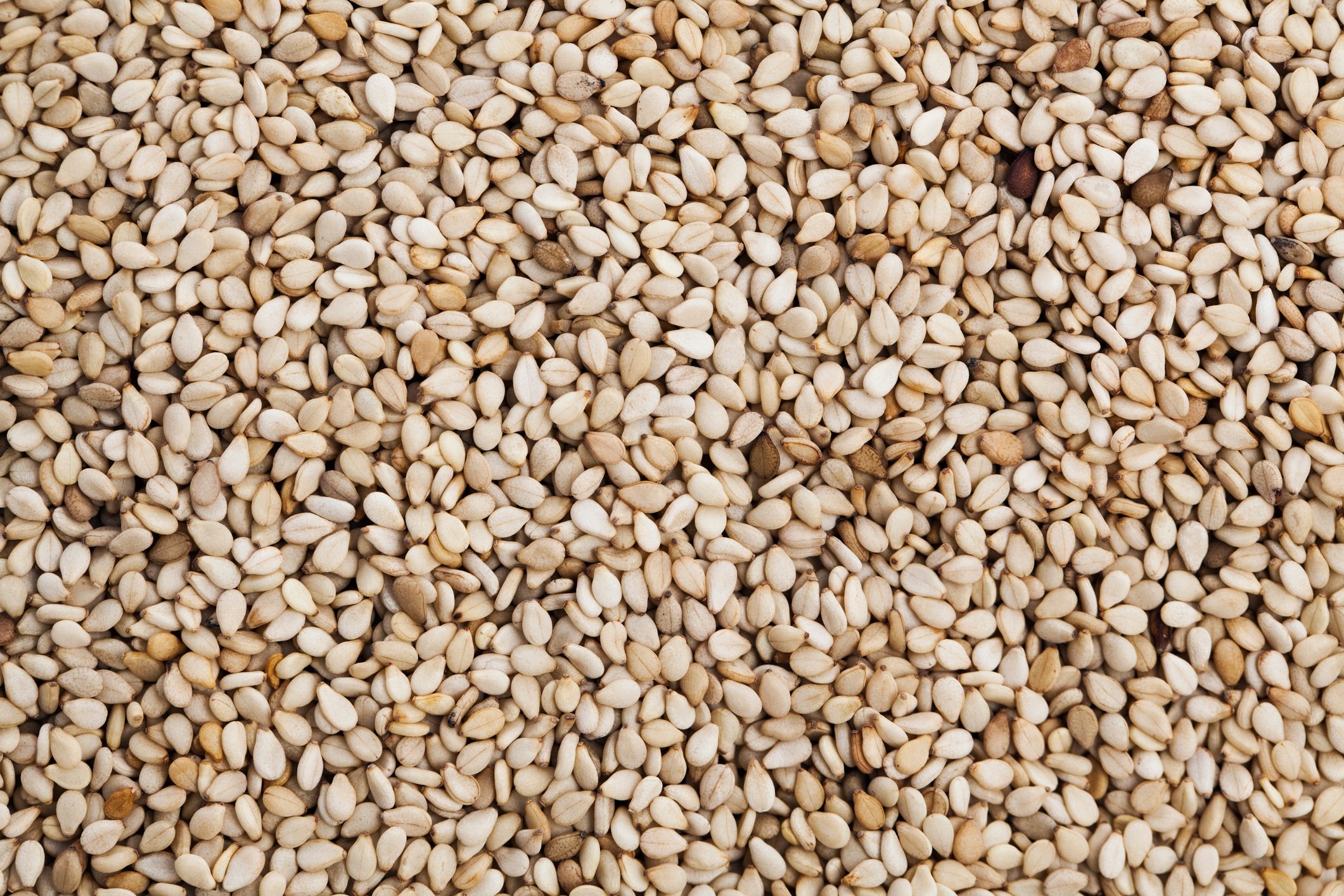 Sesame seeds full frame