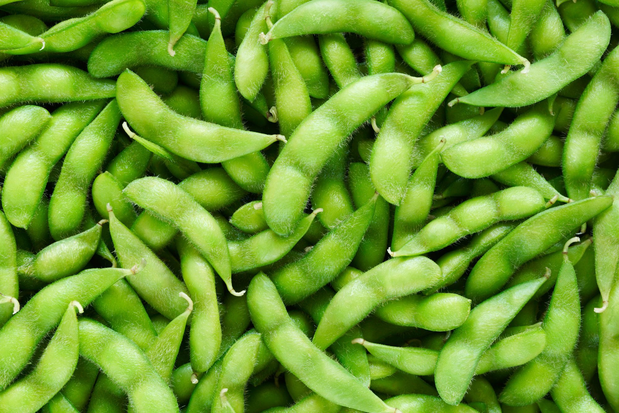 Edamame Pods