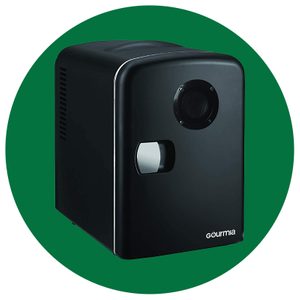 Gourmia GMF668 Thermoelectric Mini Fridge Cooler and Warmer with Bluetooth Speaker