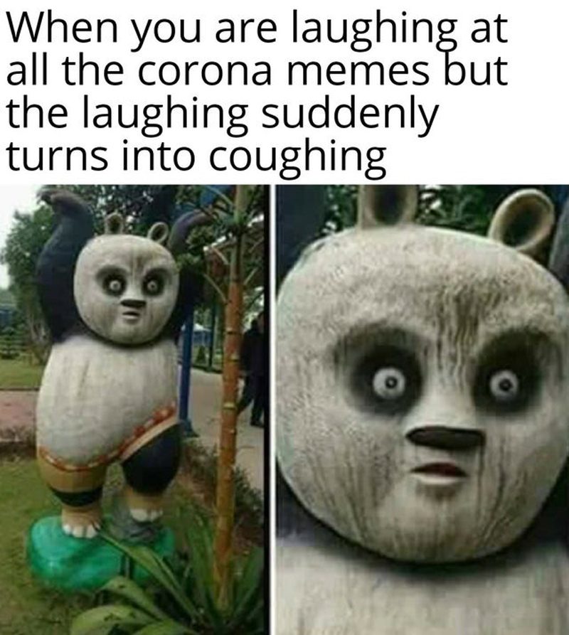 flu meme