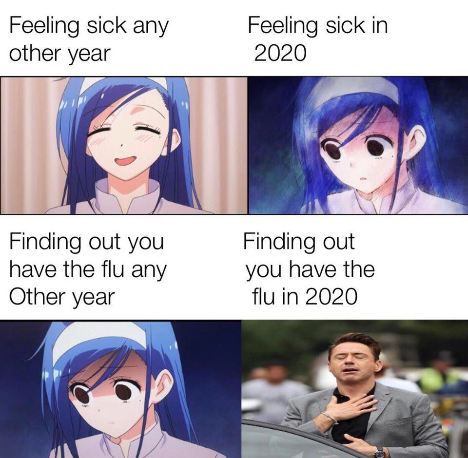 flu meme