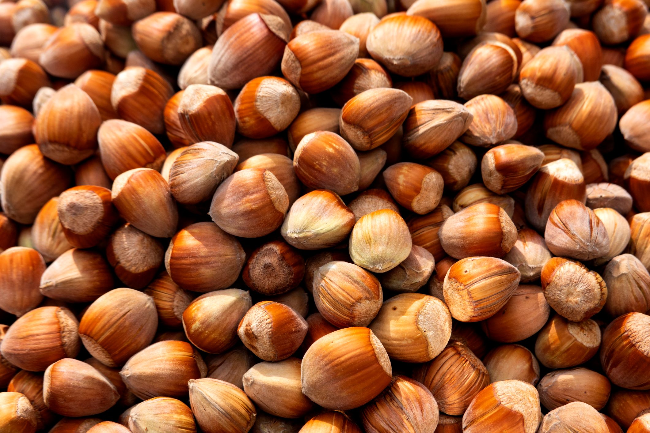 Full frame shot of hazelnuts at vegetable garden