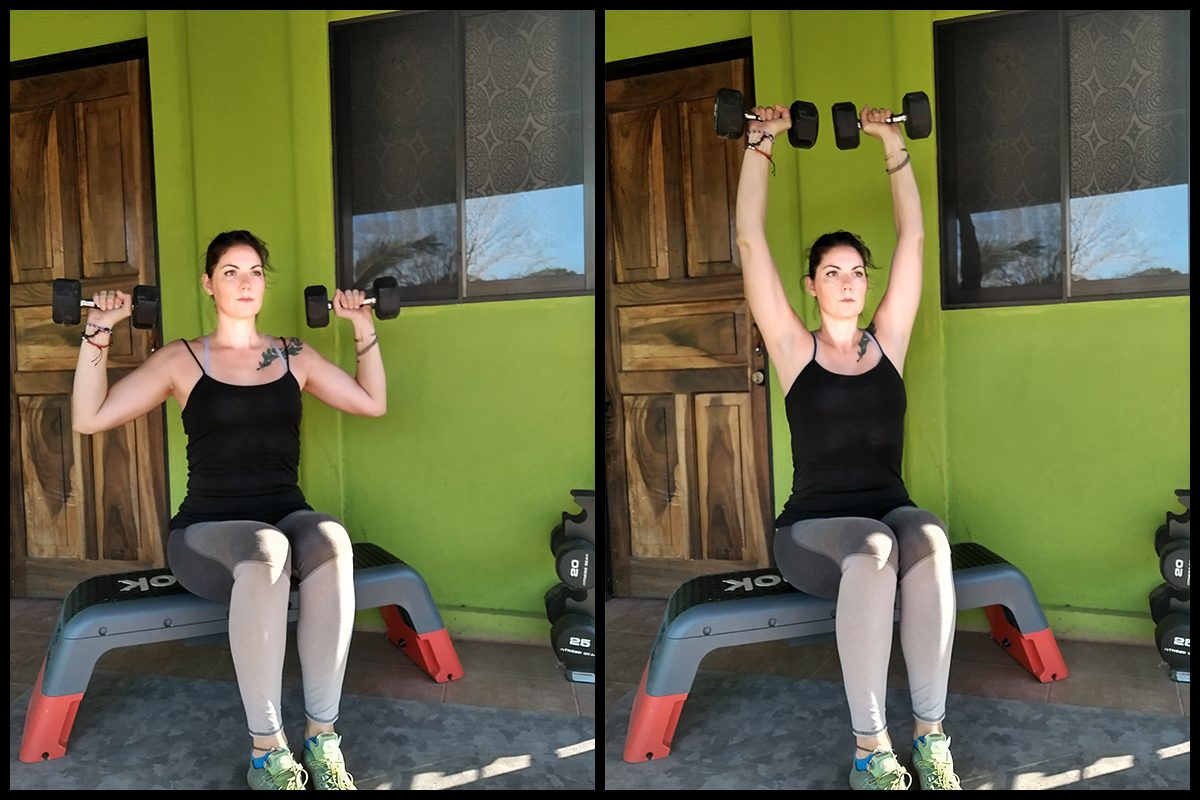 dumbbell shoulder press arm exercise