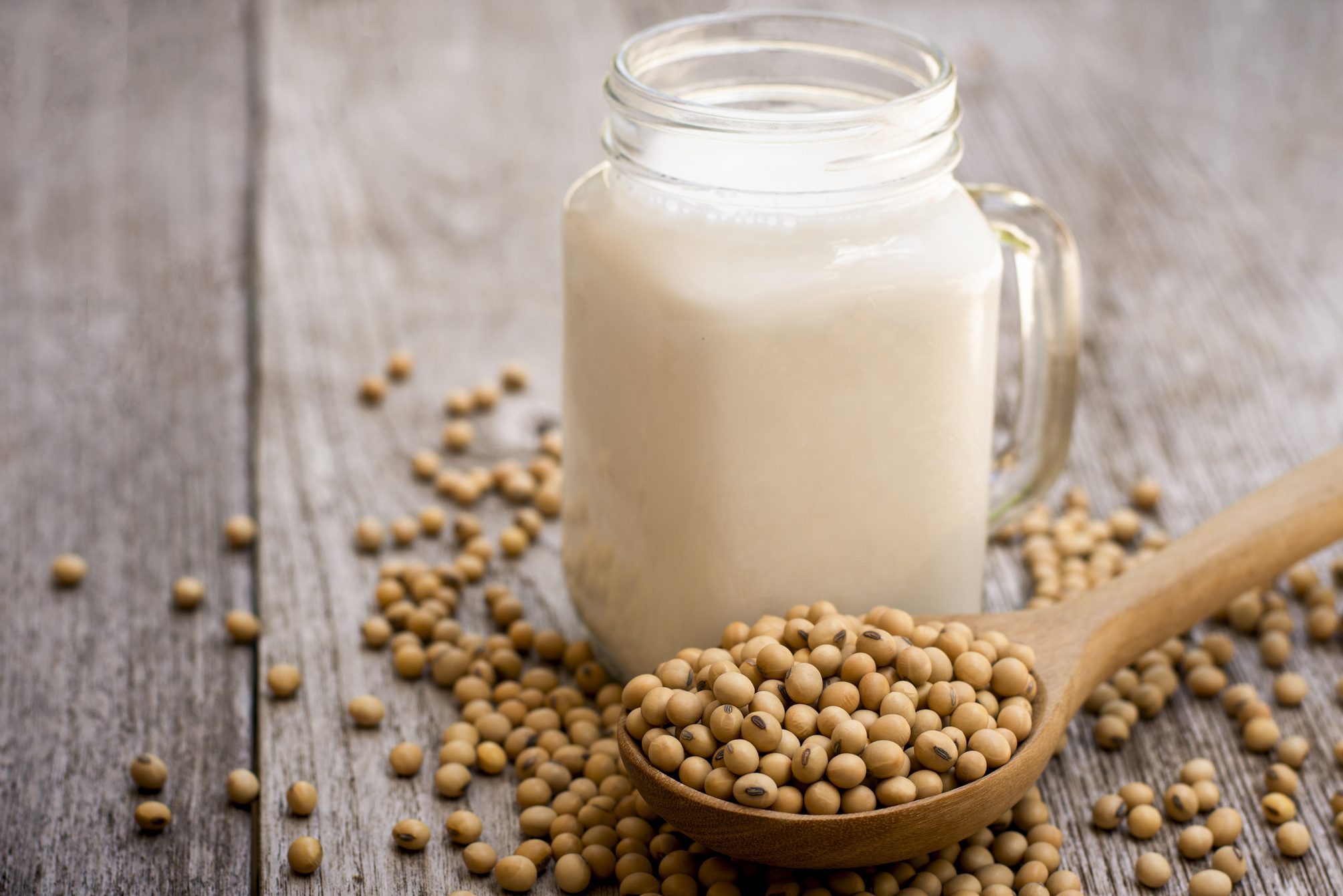 soy milk and soy beans