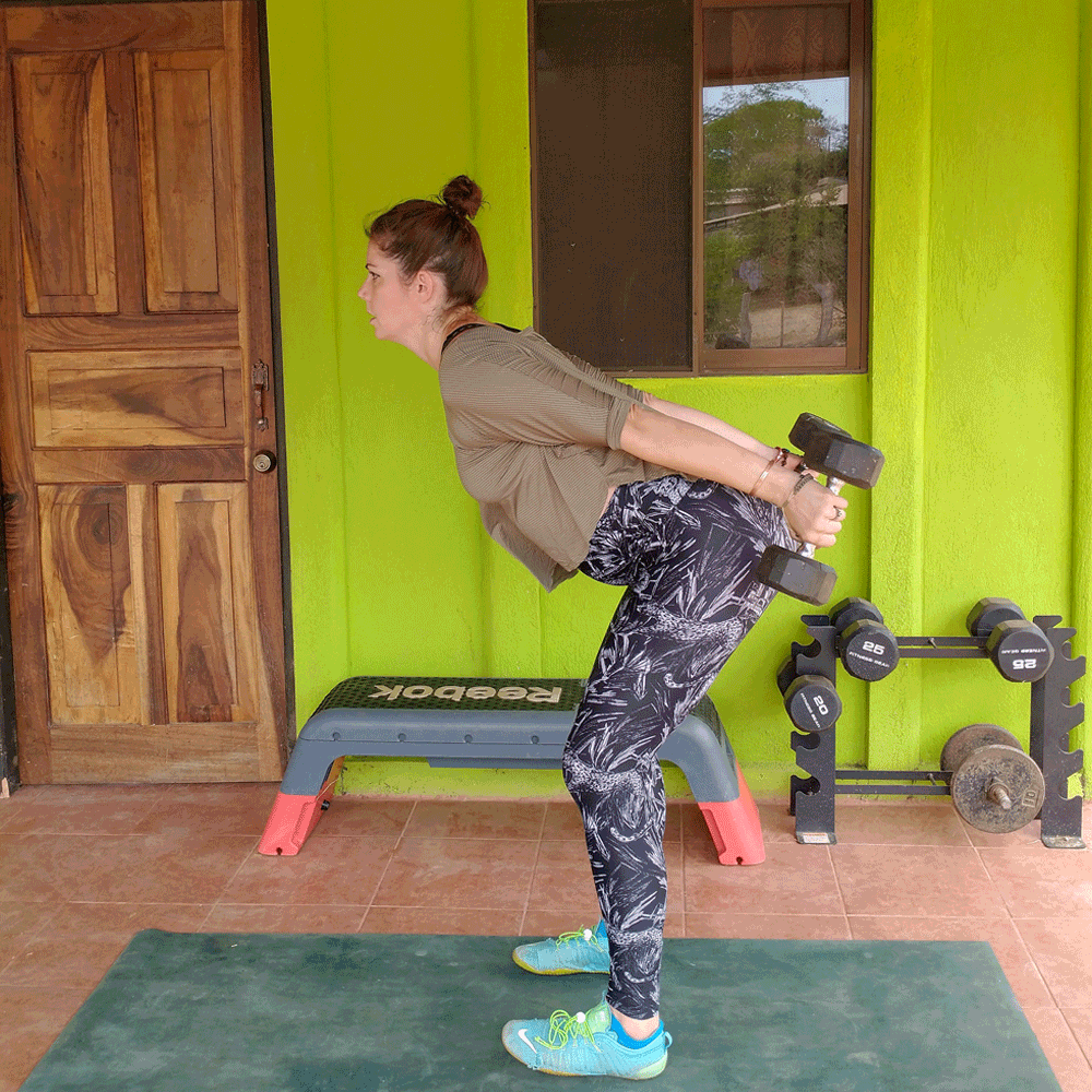 Skier Swings Exercise