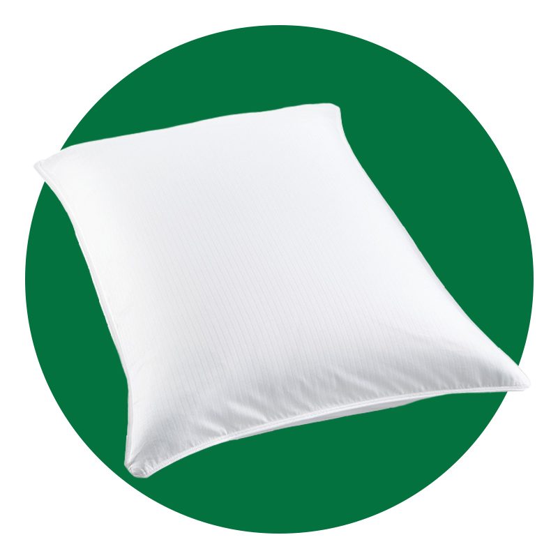 Charter Club Soft Density Down Pillow