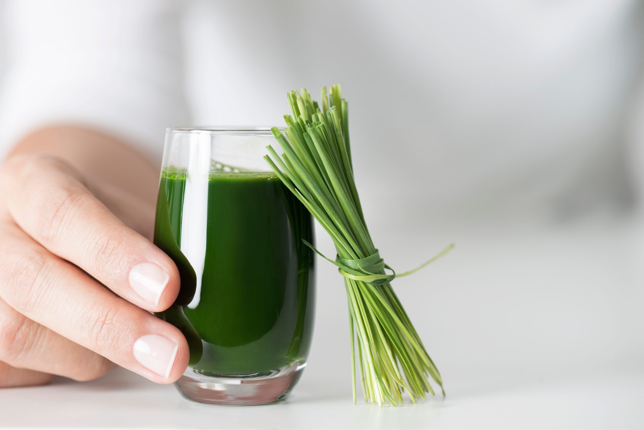 Wheatgrass