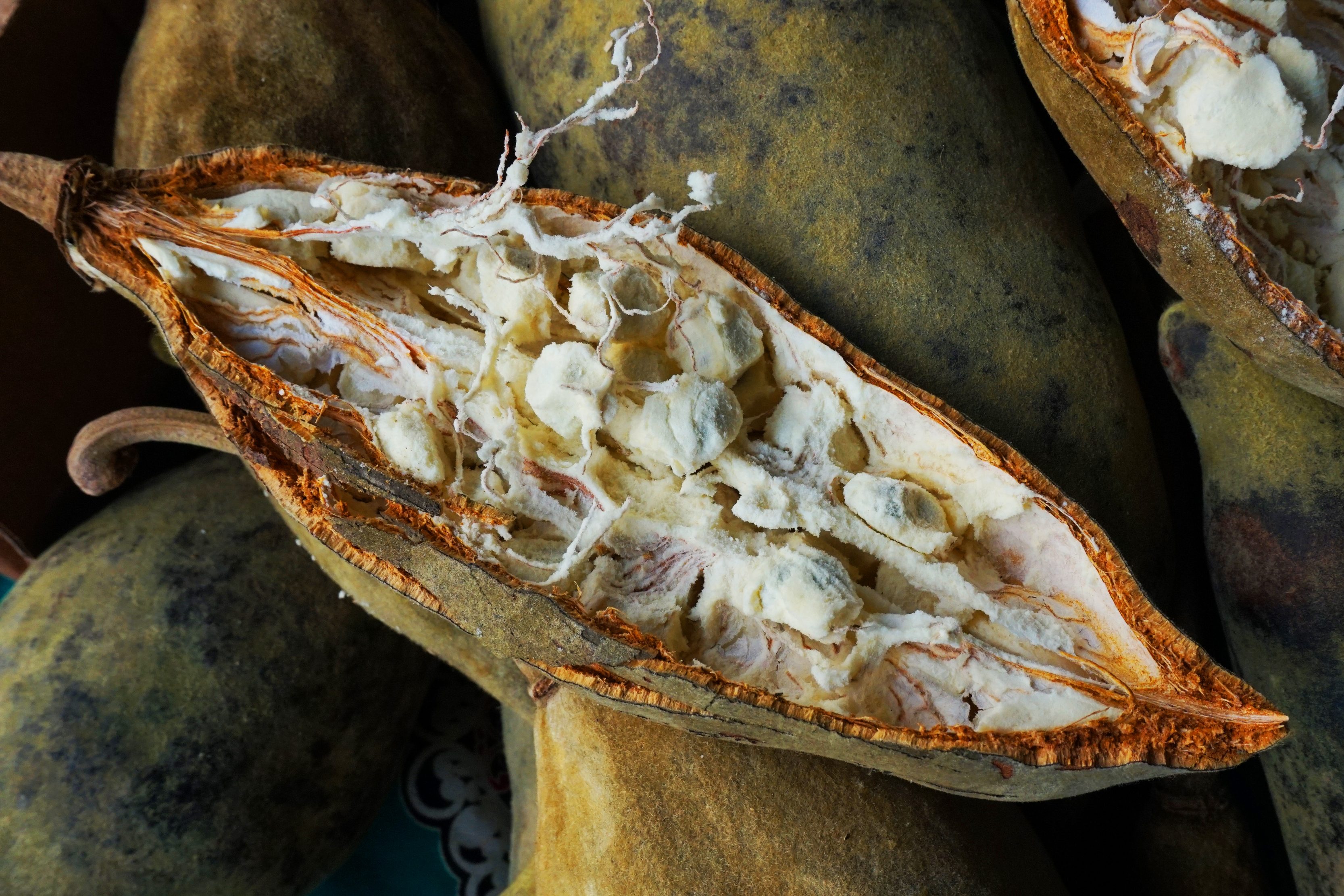 open baobab fruit