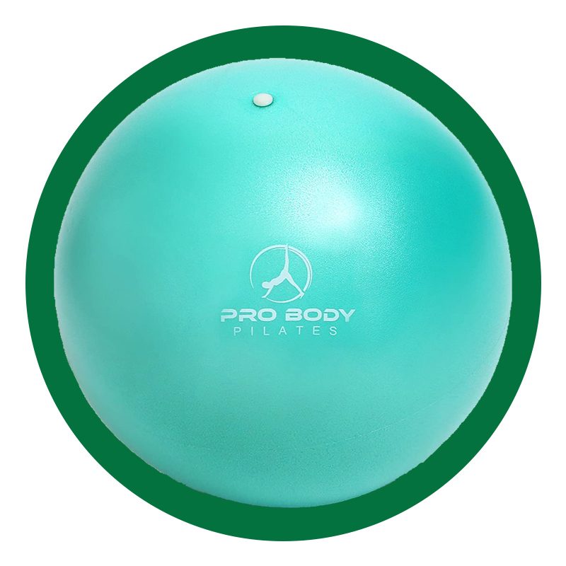 Probody Pilates Mini Exercise Ball