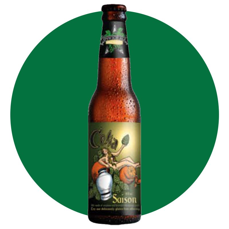 Ipswitch Gluten Free Saison