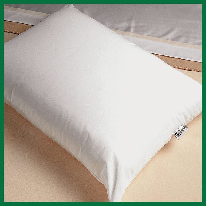 Mission Allergy Allergen Proof Pillow