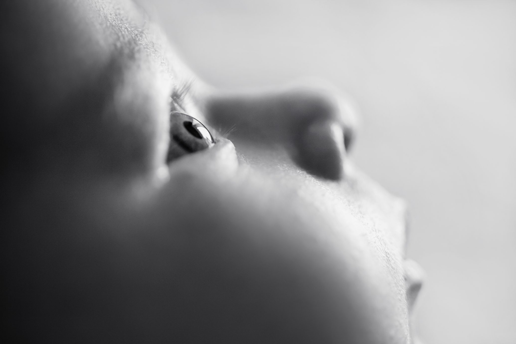 close up of baby's eye in black and white