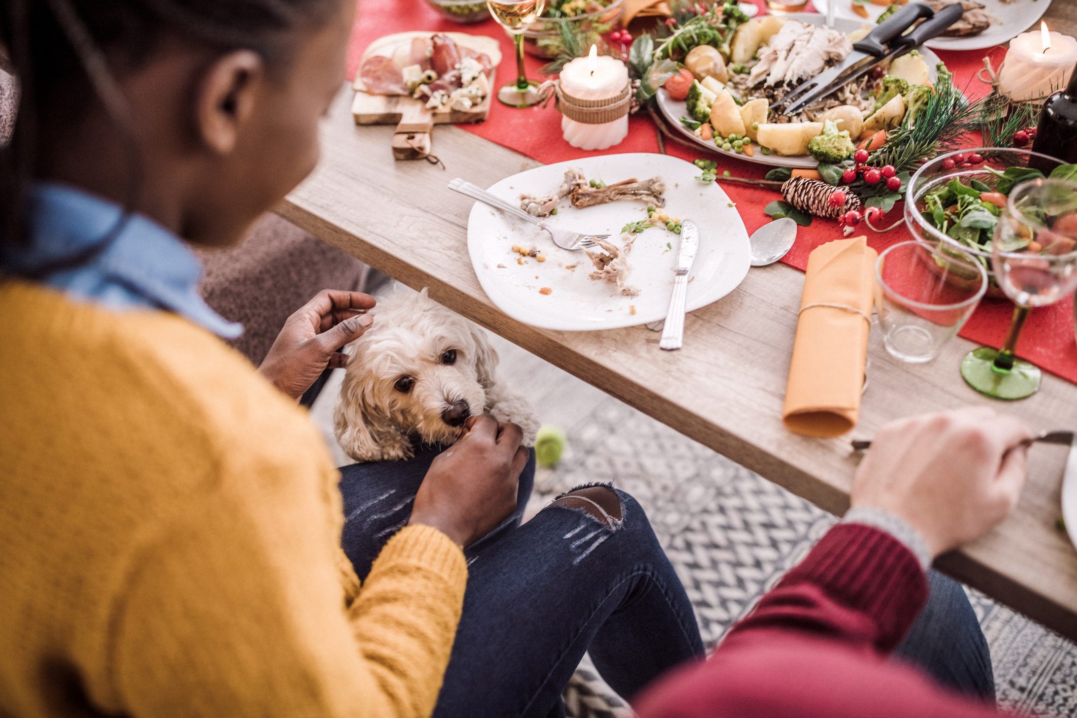 woman feeding dog a treat under the dining table