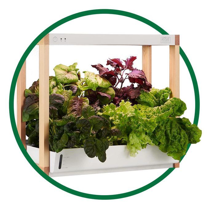 Rise Gardens Personal Garden And Starter Kit