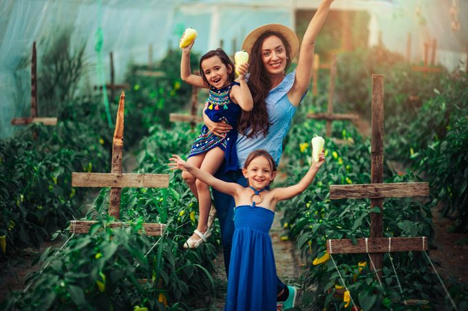 Mother and daughter picking bell peppers in a greenhouse