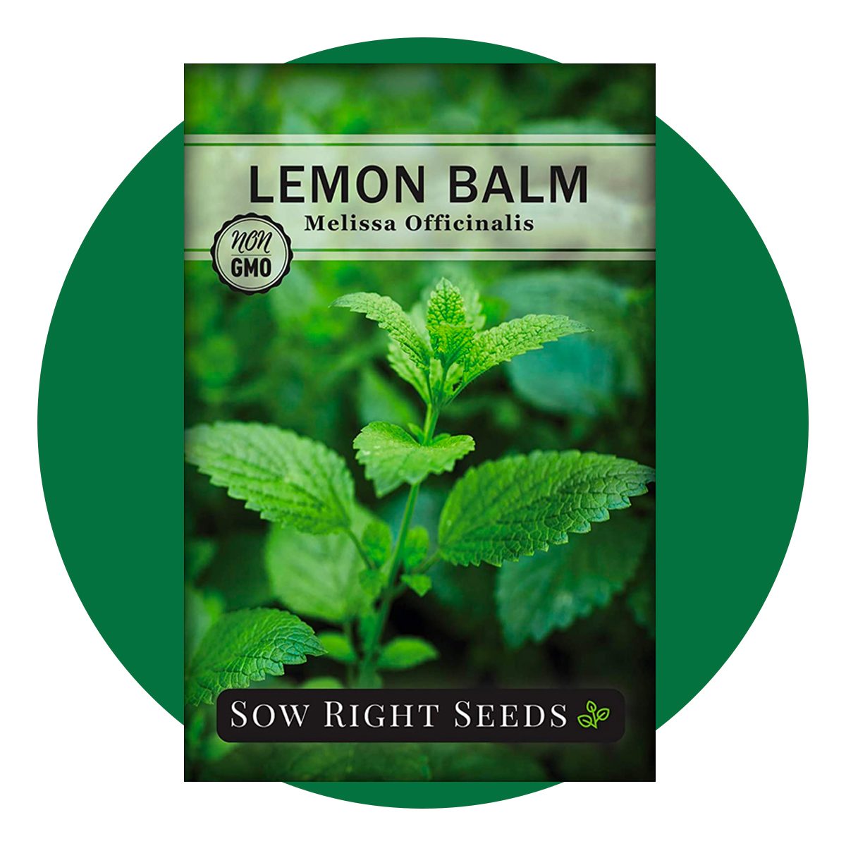 Lemon Balm