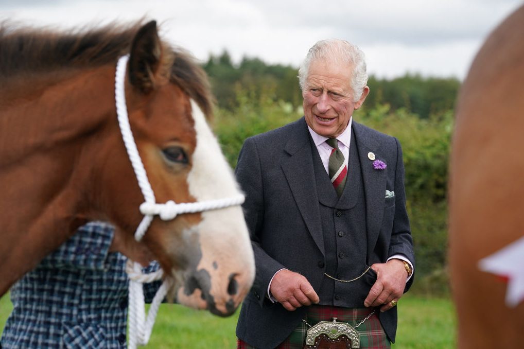 King Charles and a horse