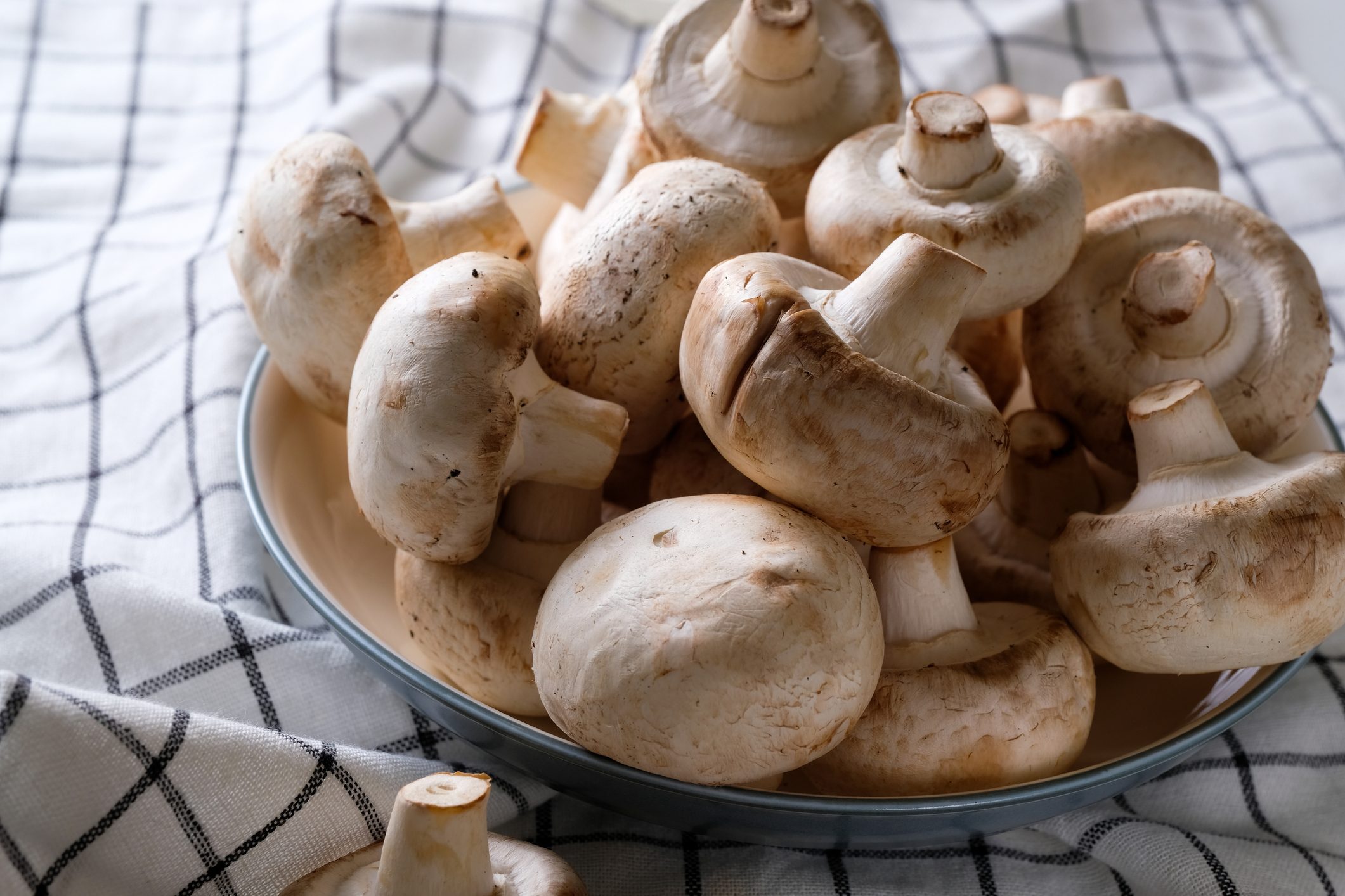 A bunch of whole raw fresh mushrooms in a plate