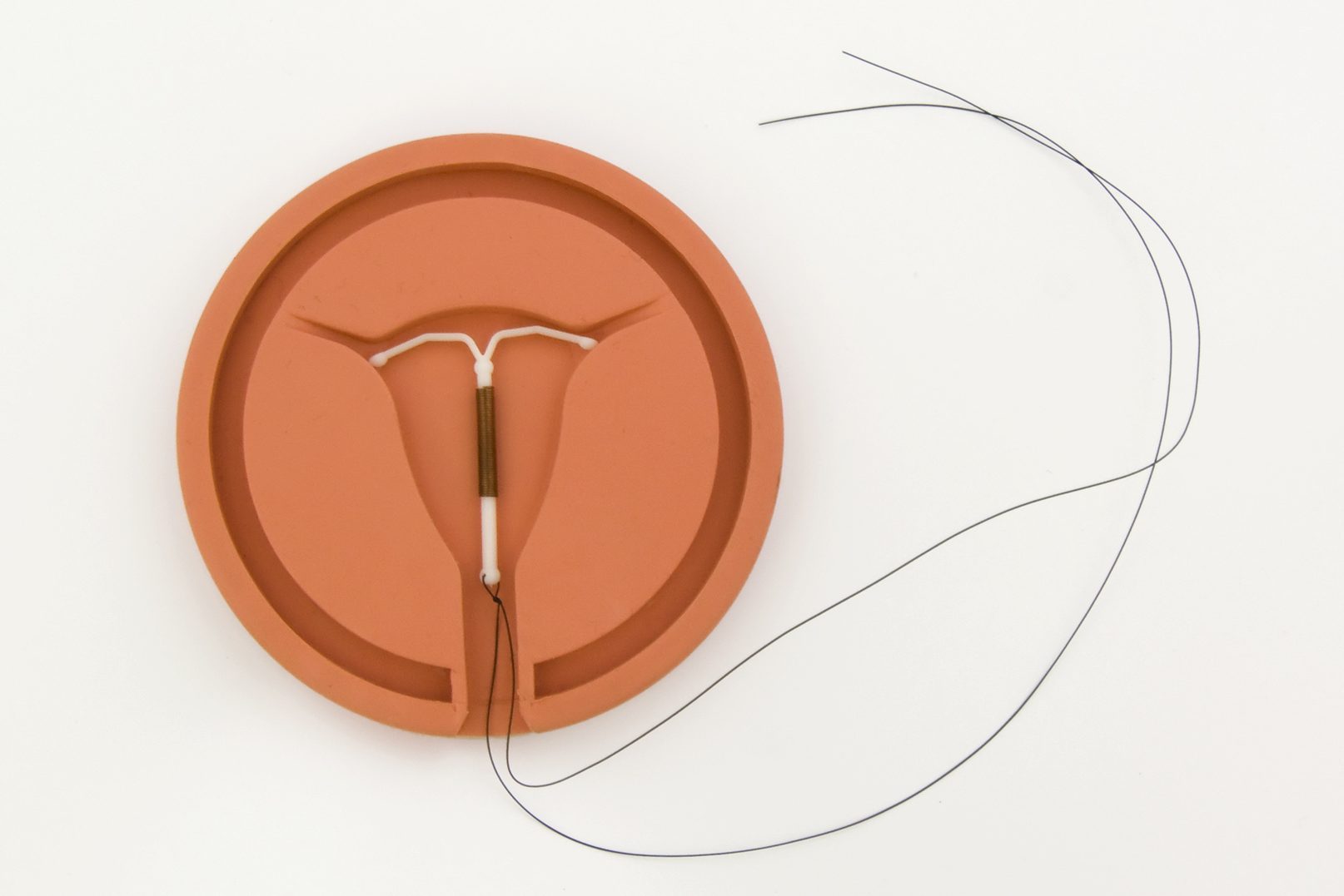 Copper IUD inside a model representation of a uterus